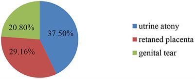 Primary postpartum hemorrhage and associated factors among delivering women in Gedeo Zone, Southern Ethiopia